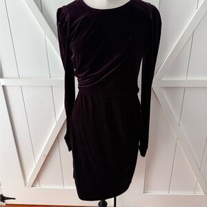 Calvin Klein Elegant Dark Purple Long Sleeve Dress